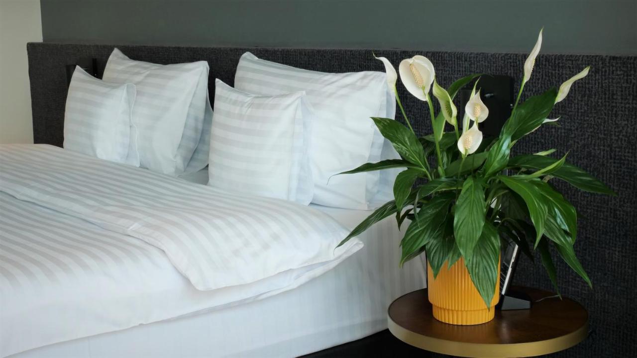 Werk Hotel & Spa 胡内多阿拉 外观 照片
